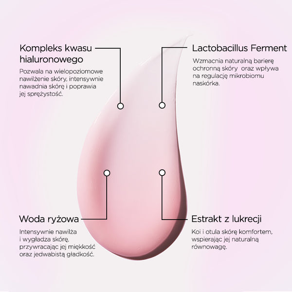 Infografika ze składnikami na jasnoróżowym tle: po środku różowa kropla kremu, u góry opisy Kompleks kwasu hialuronowego i Lactobacillus Ferment, u dołu Woda ryżowa i Estrakt z lukrecji.